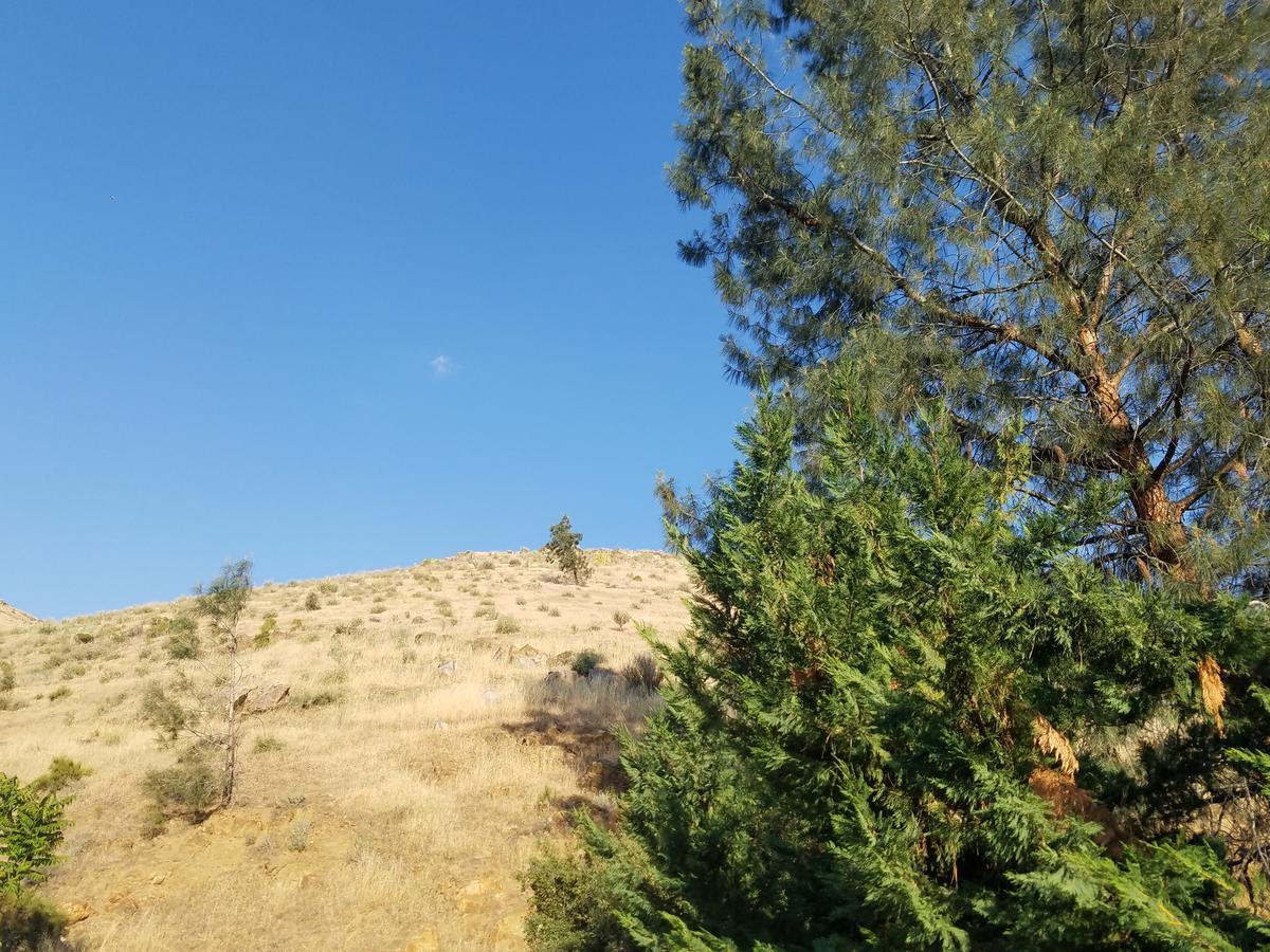 神圣山河滨套房酒店 克恩维尔 外观 照片